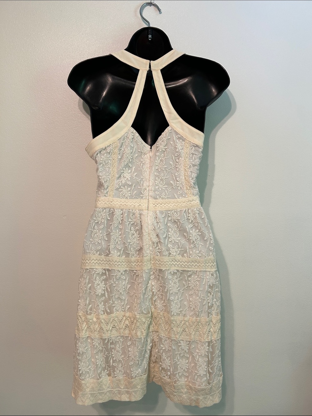 American Eagle Outfitters Lace Overlay Mini Dress in Cream, Zip, Straps Size 6 - Picture 3 of 6
